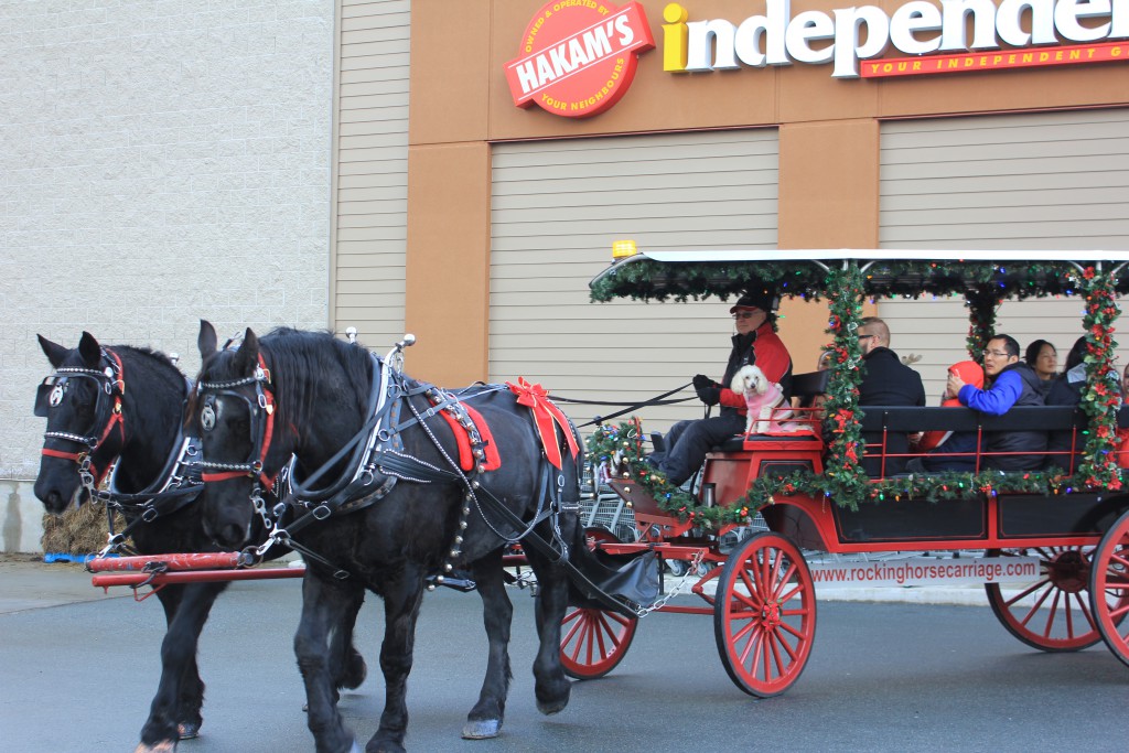 Horse Carriage Rides